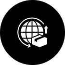 Export Experience